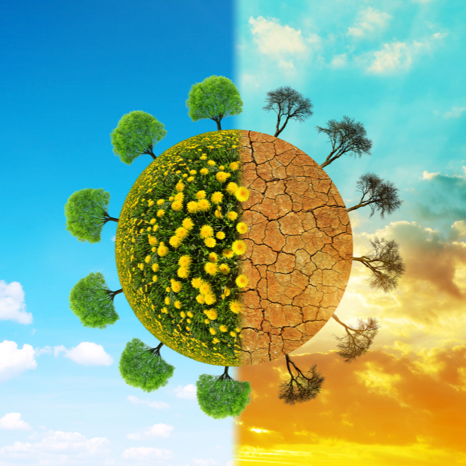 CLIMATE CHANGE