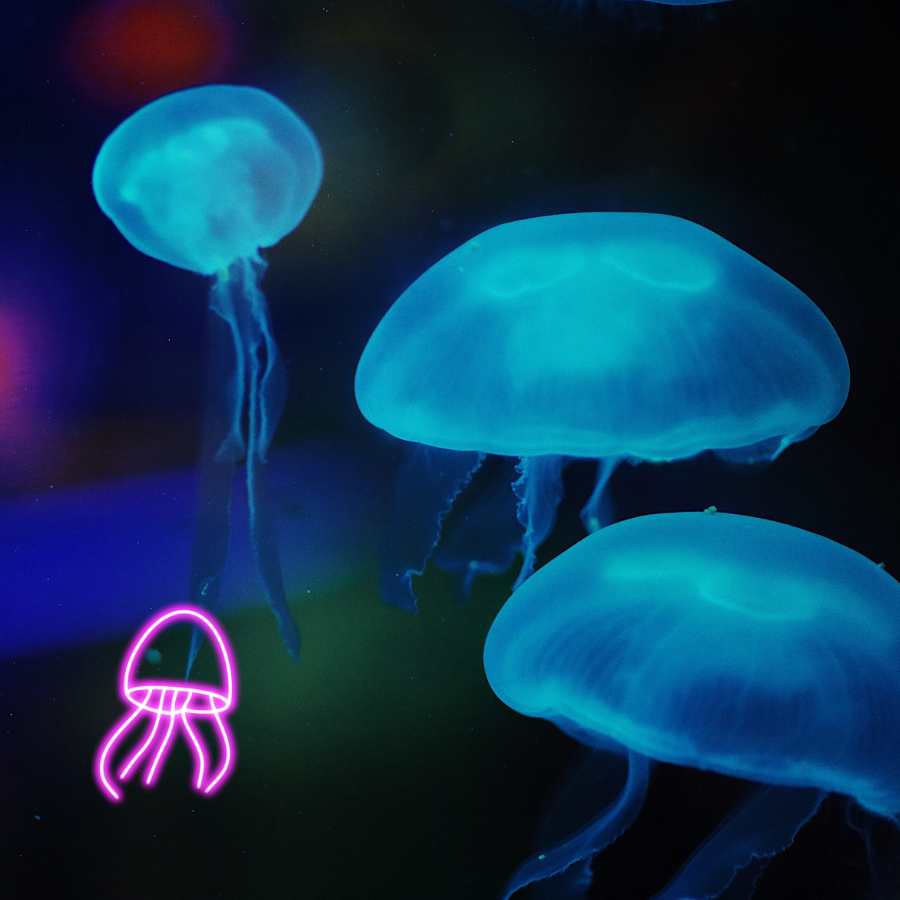 FLUORESCENT JELLY FISH