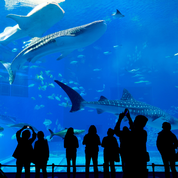 AQUARIUM