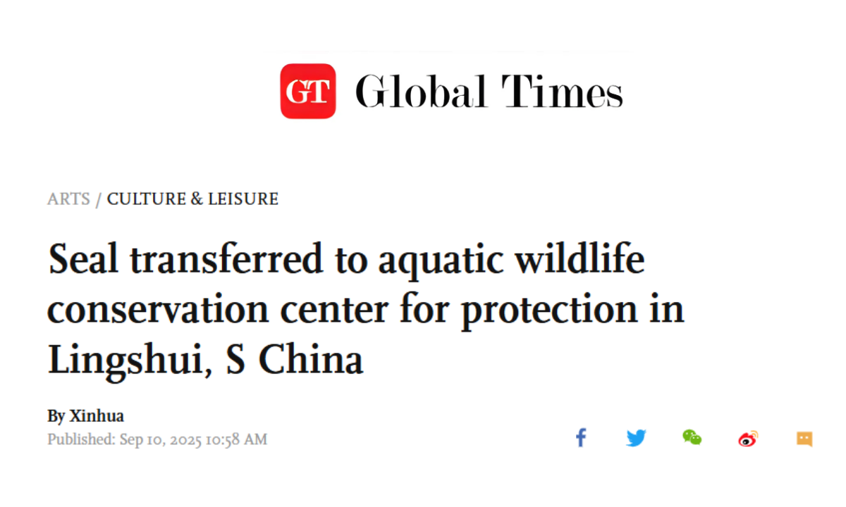 Photo: Global Times Title