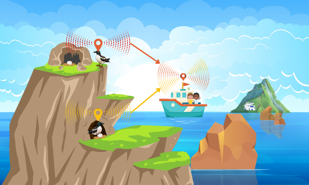 Illustration: Shearwaters