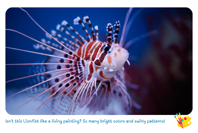 Blog LionFishwarning