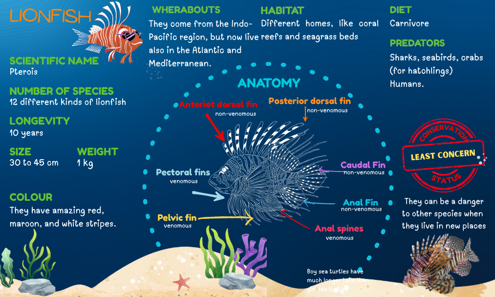 Blog Lionfishinfo