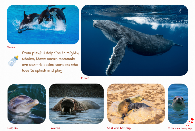 The Amazing World Of Marine Life Bubble Buddies Bay