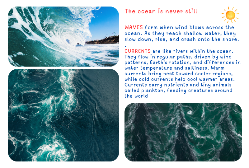 Blog Oceon currents