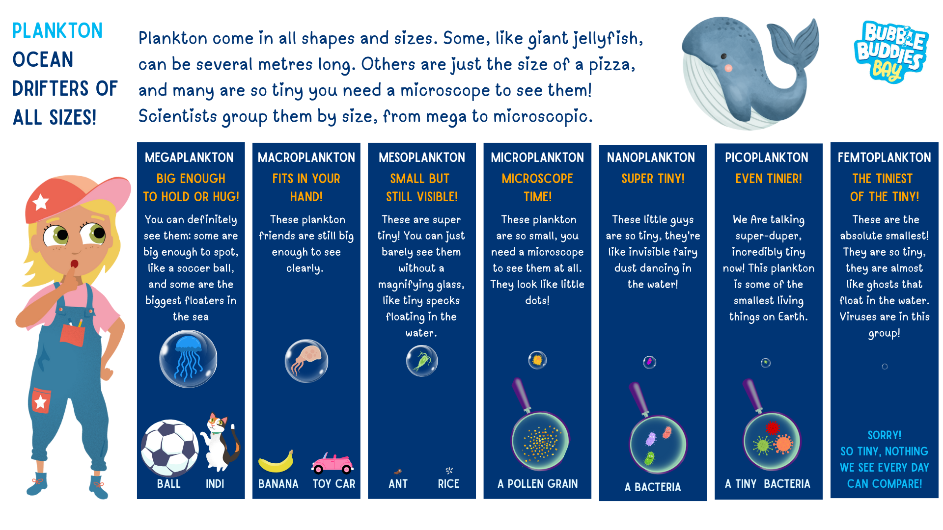 Blog PlanktonSize1
