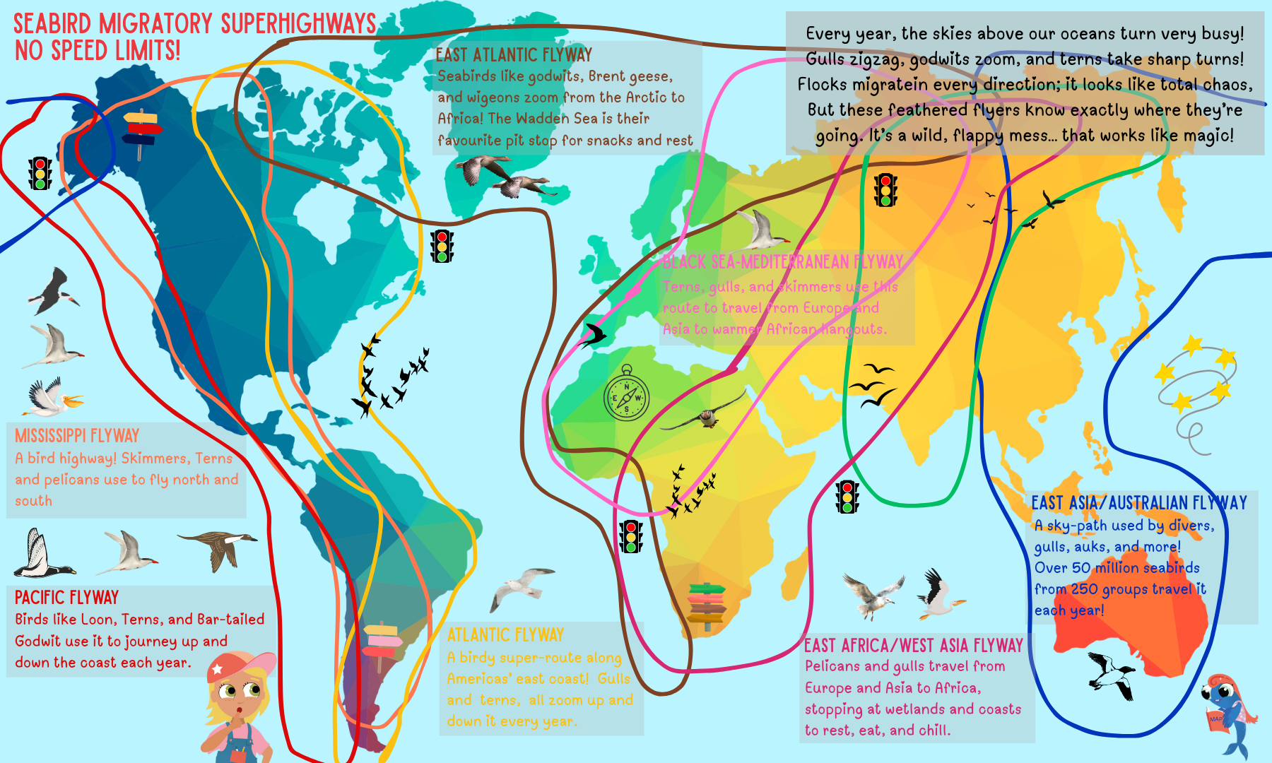 Blog Seabirds MigrationFlyways