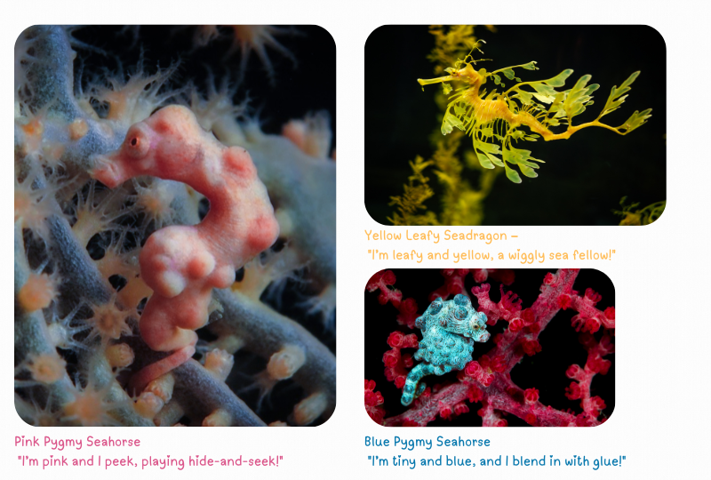 Blog Seahorse2