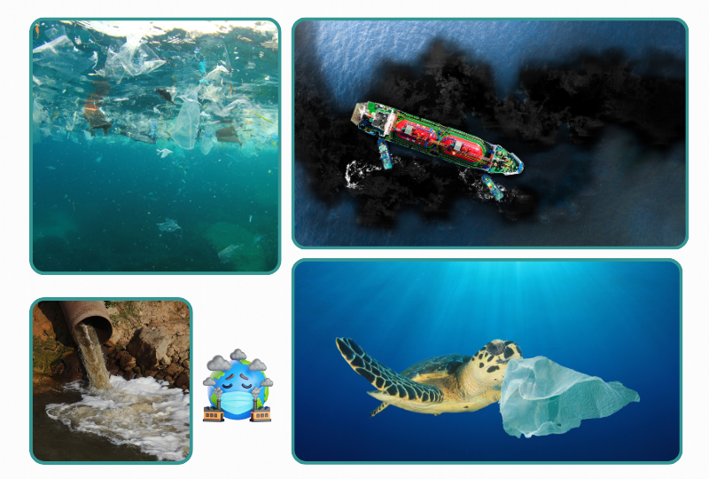 Photos: sea pollution