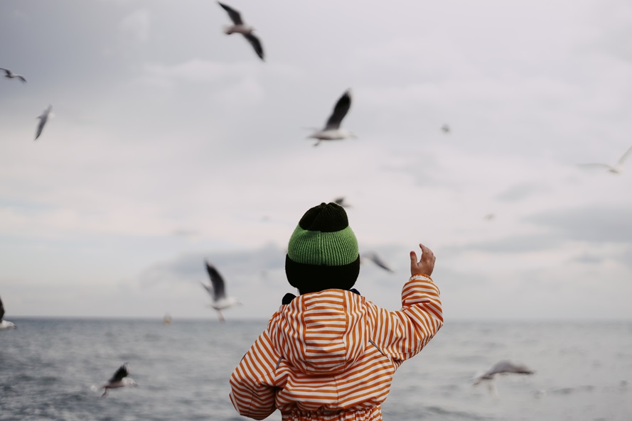 Blog Watching Kidwithseaguls