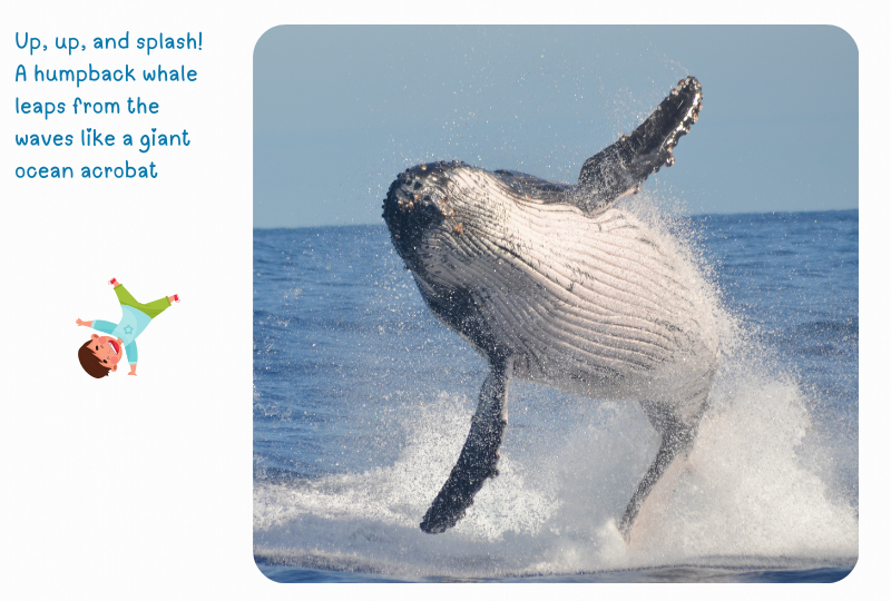 Blog Whale Breaching