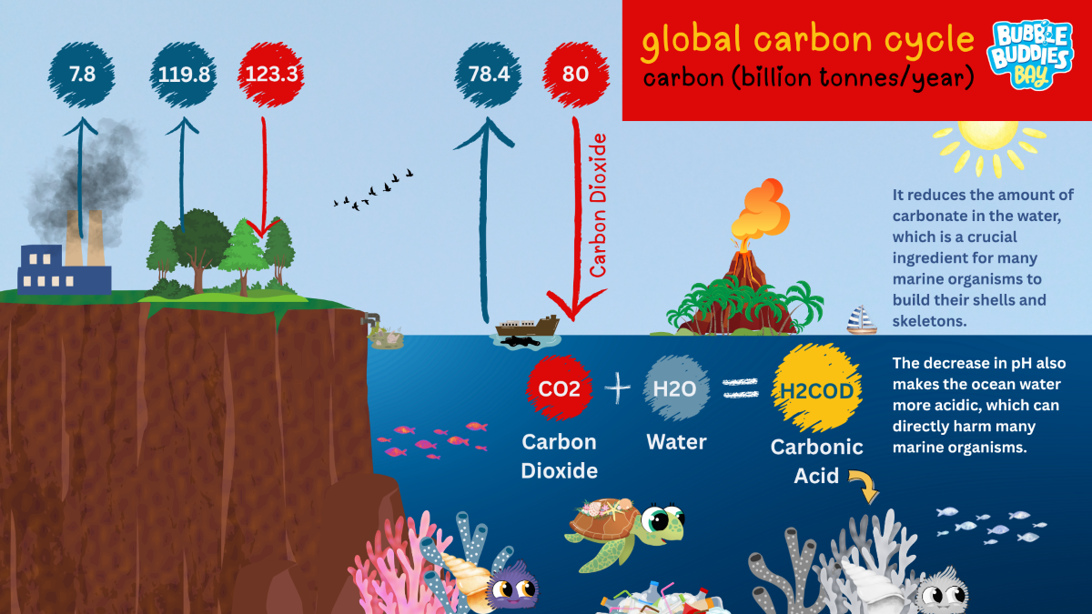 Blog oceanHero CO2
