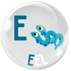 E
