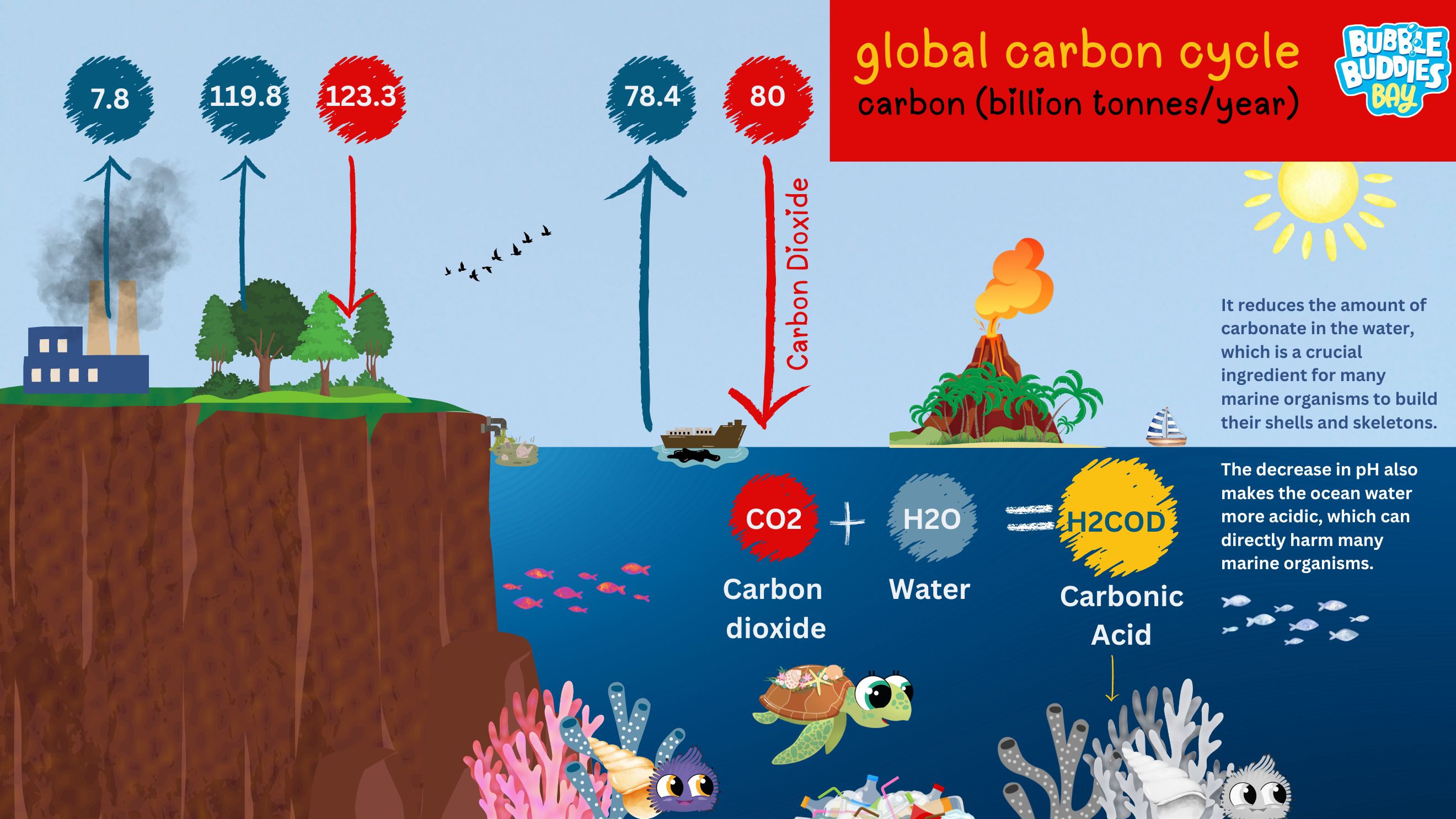 Blog carbon